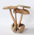 2026 Paddenstoel beeld 4 paddenstoelen 1200